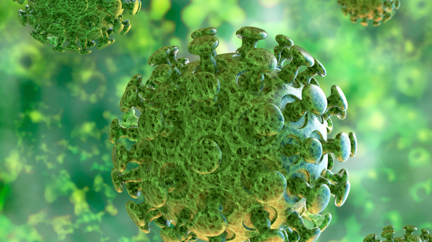 Coronavirus er ikke kun én, men et stort antal vira, hvoraf et fåtal af virusvarianterne, såsom SARS, MERS og 2019-nCoV (covid-19), også smitter mellem dyr og mennesker. 